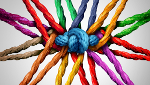 Team Work, Community Building, Growth, Abuse, Shadow Work, Dream Work and Midlife Transitioning.