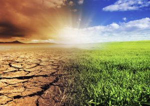 Transitions dans  la vie !